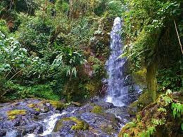 Costa Rica, a Natural Paradise Waiting to be Discovered By You!