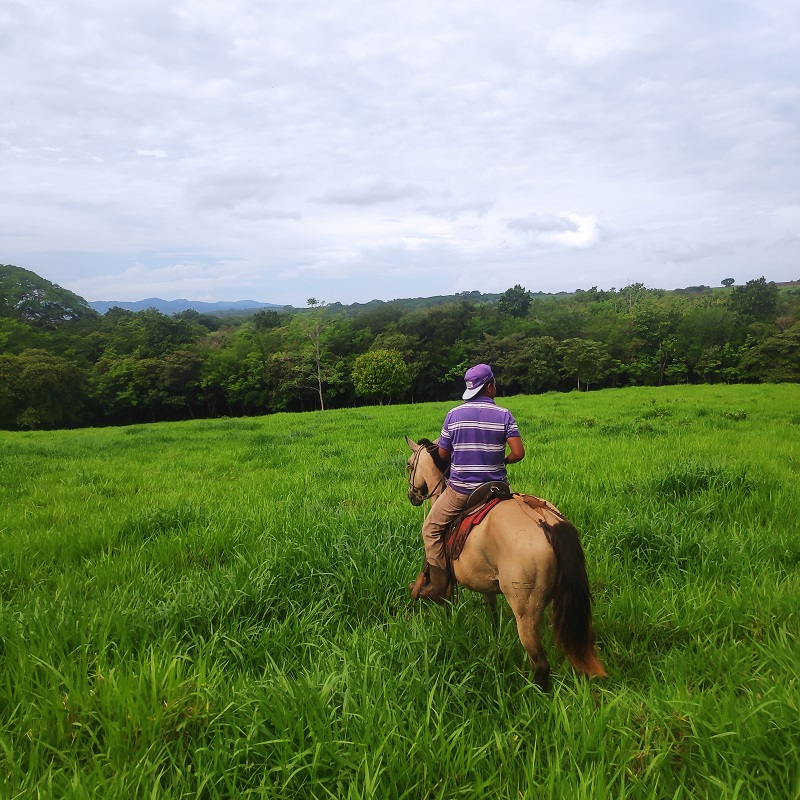 What is Living in Costa Rica Like?