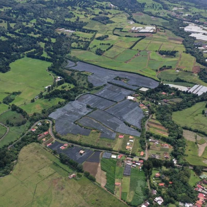 poasfarm_01