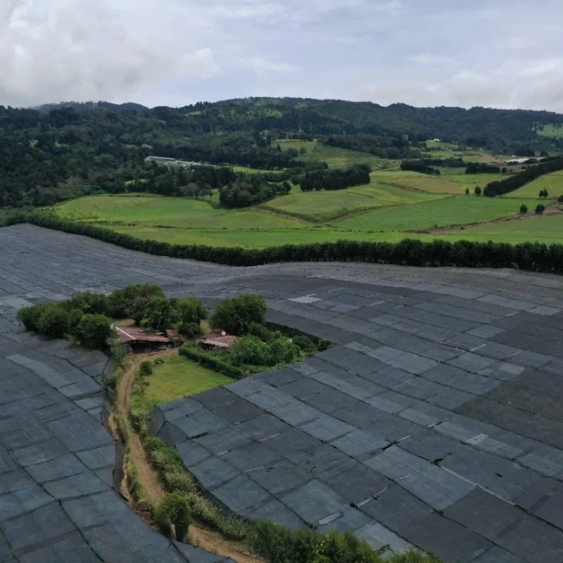 poasfarm_02