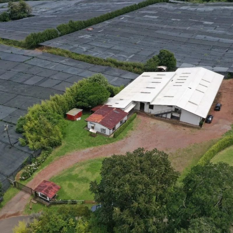 poasfarm_03